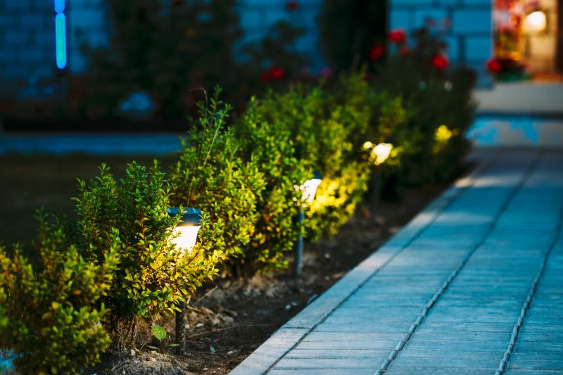 Landscape Lighting Installation in Denver County, CO