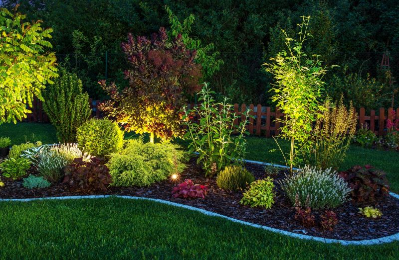 Spotlighting Trees and Shrubs